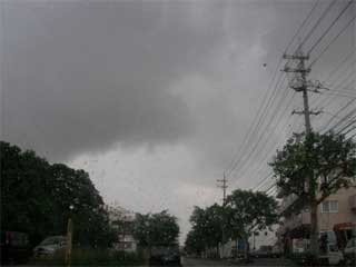 雨が降ってきました